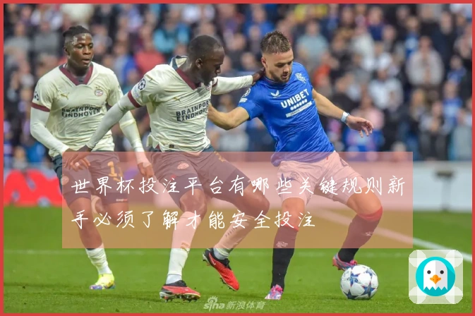 世界杯投注平台有哪些关键规则新手必须了解才能安全投注