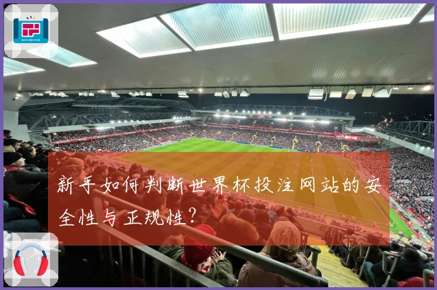 新手如何判断世界杯投注网站的安全性与正规性?